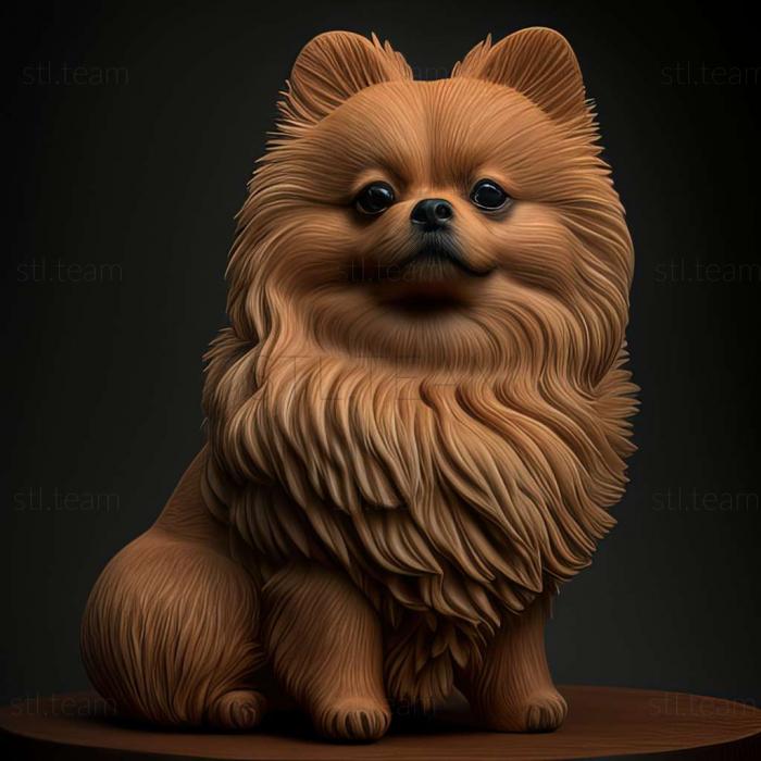 3D model Pomeranian dog (STL)